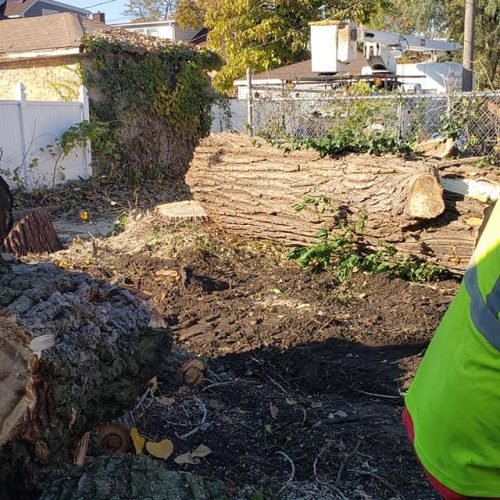 476829002_1043279744493481_3930078211312855090_n